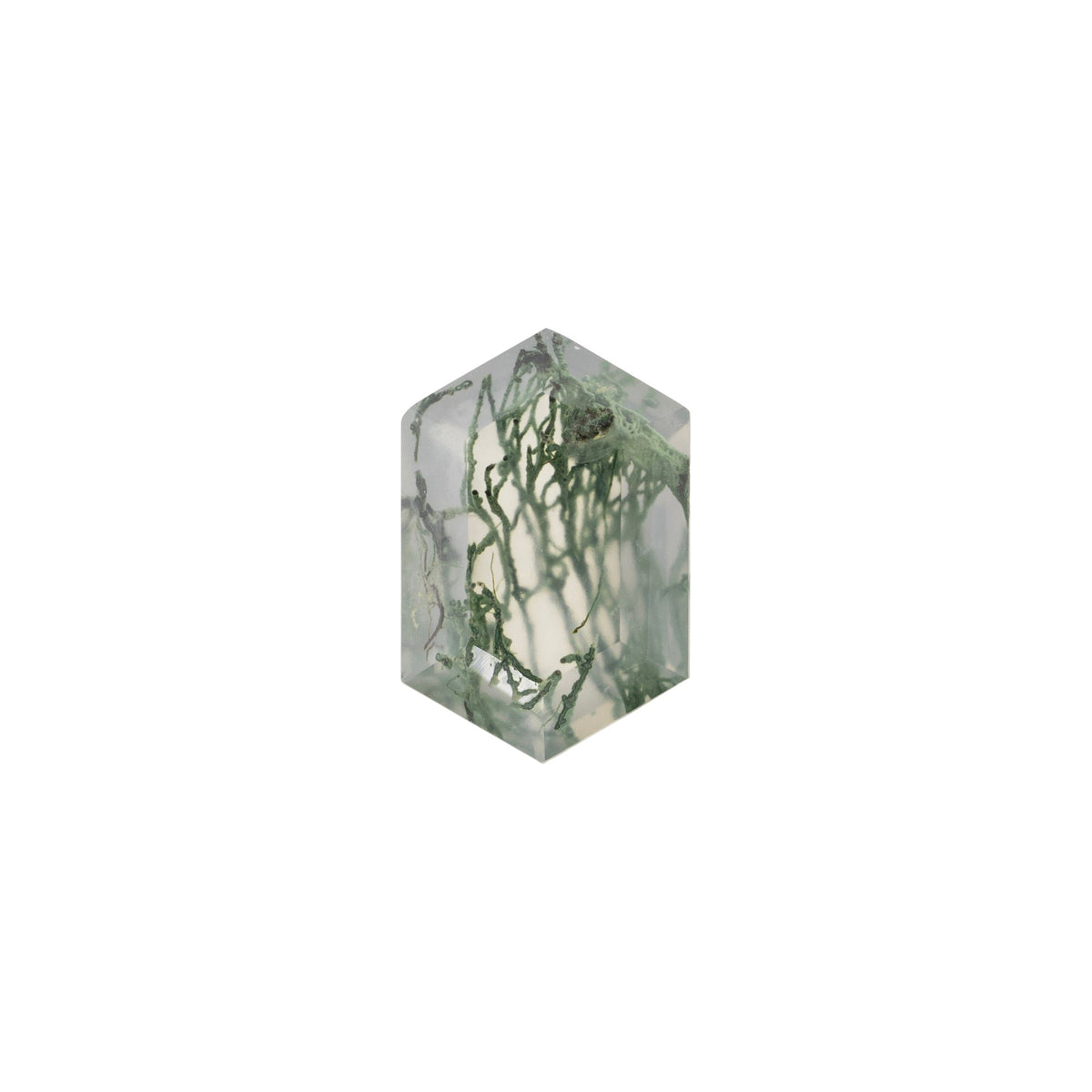 ~Elongated Hexagon Cut Natural Moss Agate